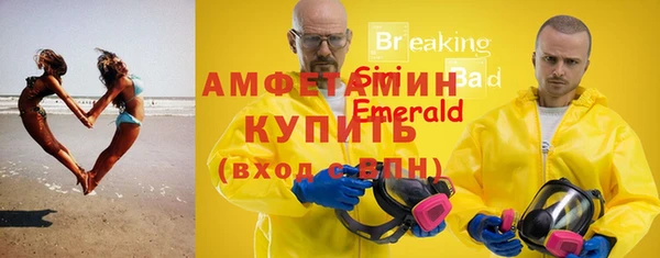 шишки Белоозёрский