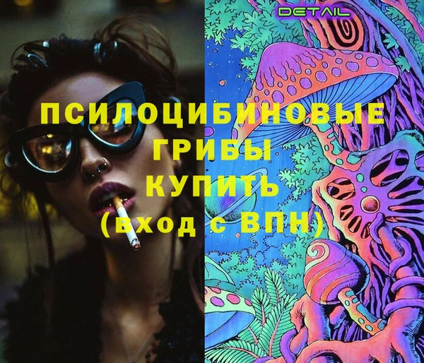 шишки Белоозёрский