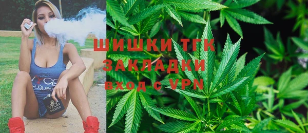 шишки Белоозёрский