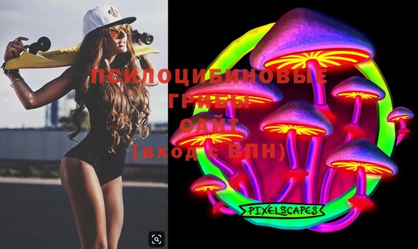 шишки Белоозёрский