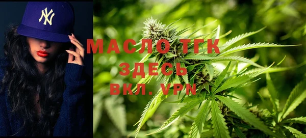 шишки Белоозёрский
