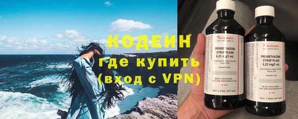 шишки Белоозёрский