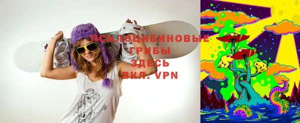 шишки Белоозёрский
