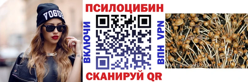 купить   Шатура  Псилоцибиновые грибы прущие грибы 